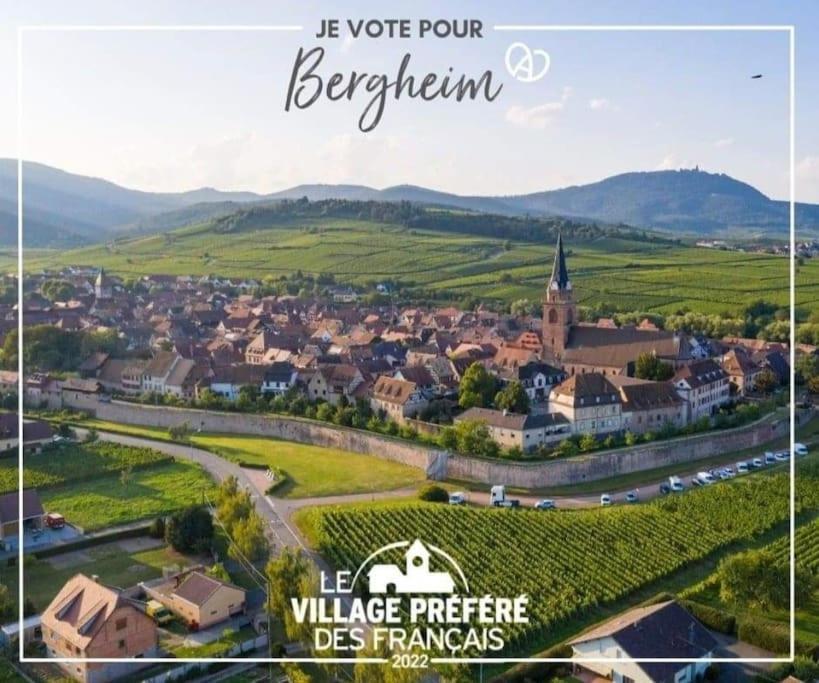 Gite Boniface Pour 2 Pers Бергхайм Екстериор снимка